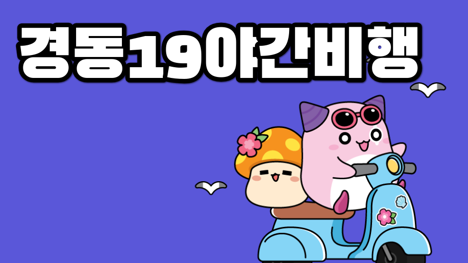 경동19야간비행