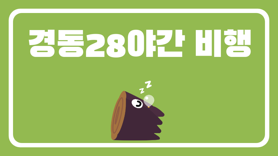 경동28야간 비행