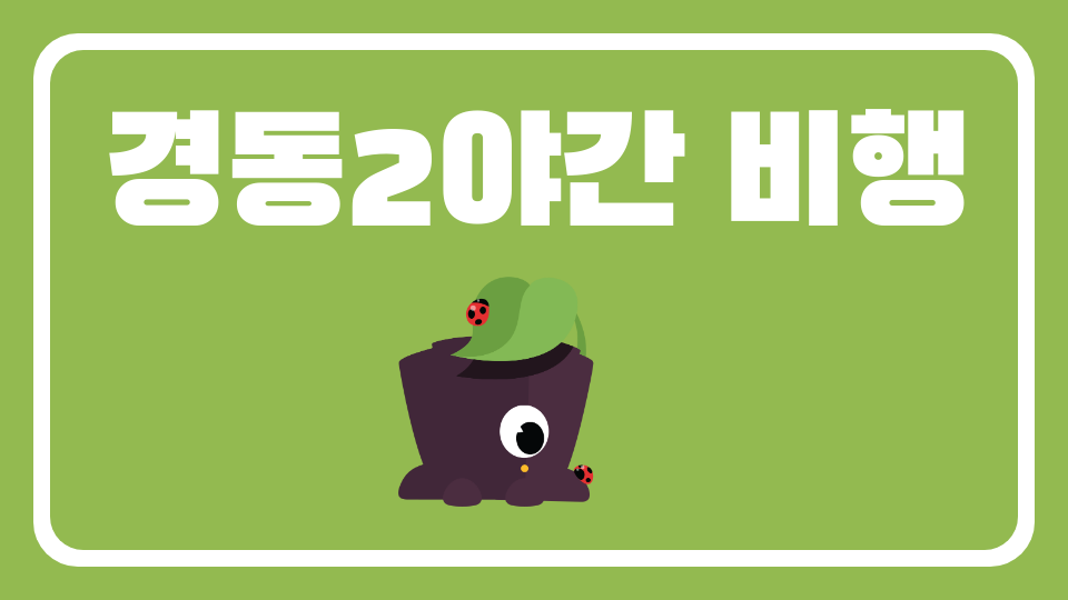 경동2야간 비행