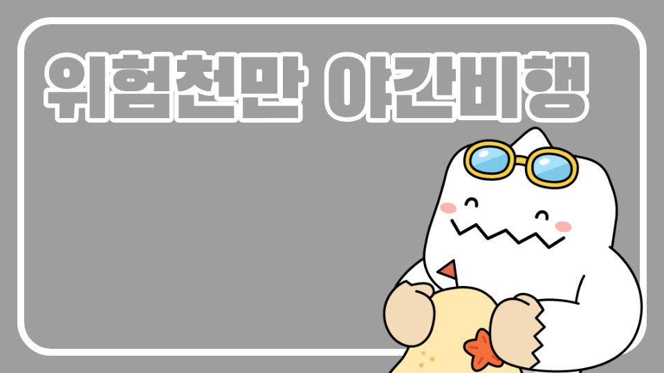 위험천만 야간비행