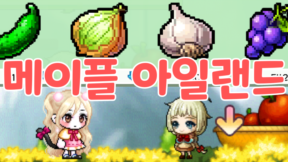 메이플 아일랜드