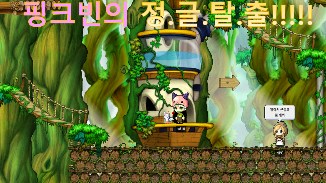 핑크빈의 정글탈출