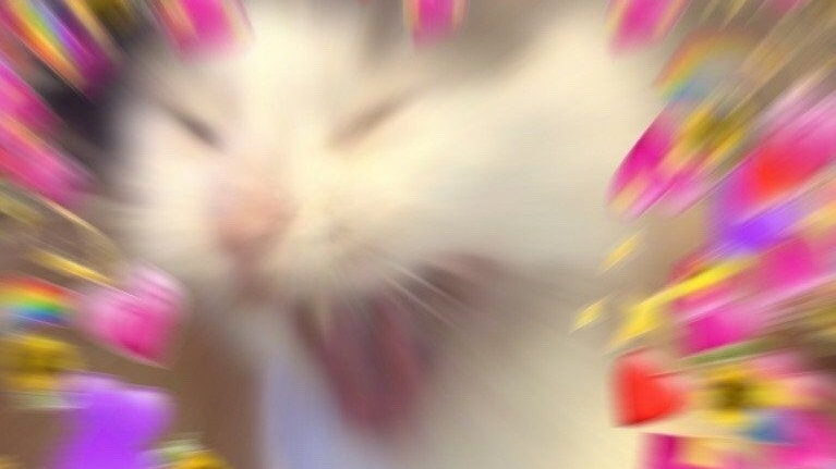 [디지털새싹SDG]야옹