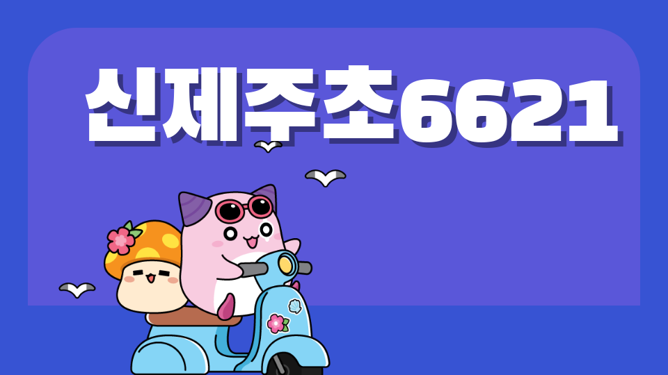 신제주초6621 제주체크인