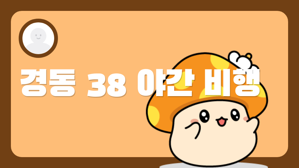 경동 38 야간 비행