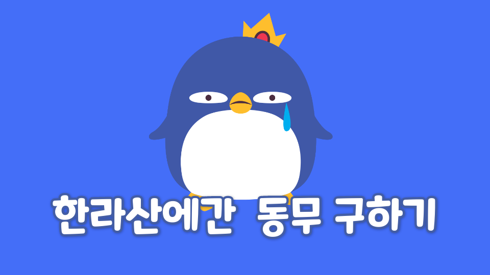 제주체크인_대신중23_깨라 ㅋ