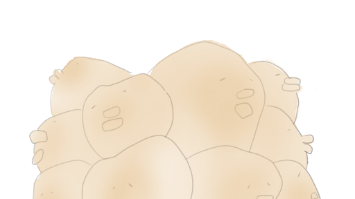 진선 3-9 '지옥에서 온 병아리' 월드