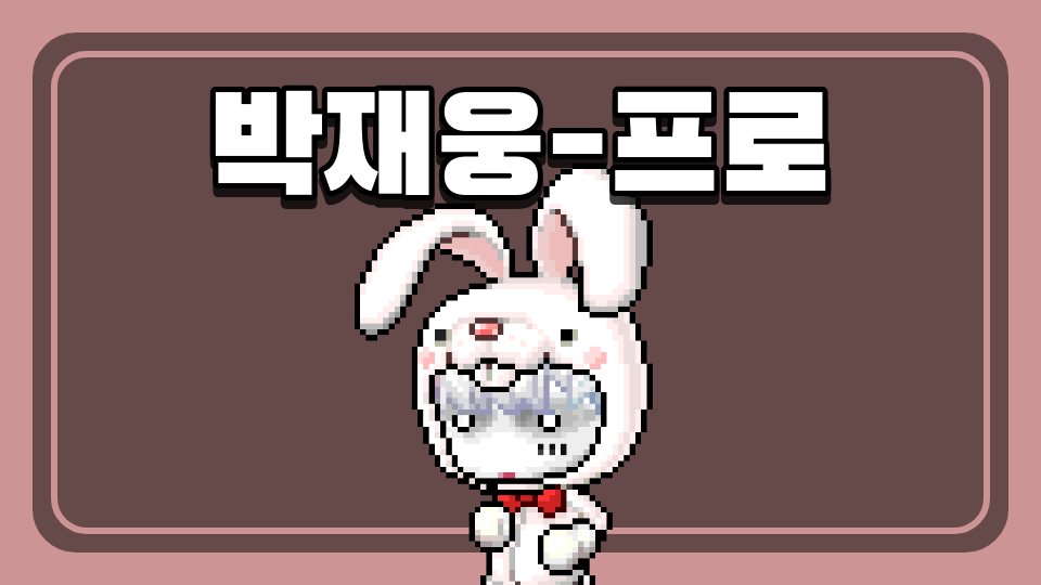 박재웅-프로