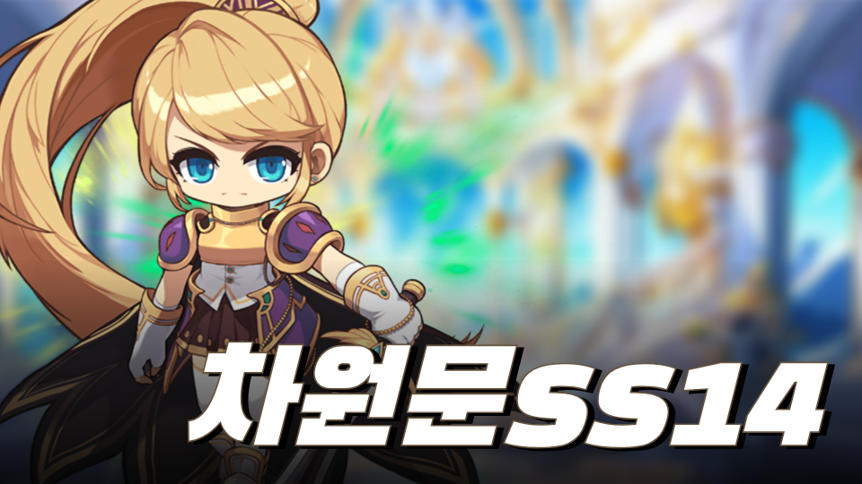 차원문ss14