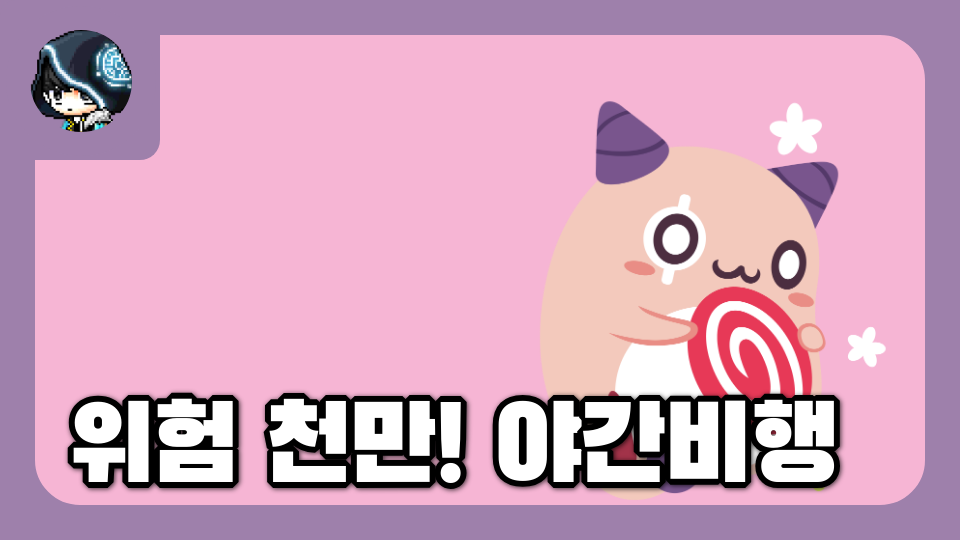 위험 천만! 야간비행