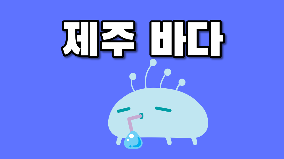 제주체크인 신제주초 64 제주바다