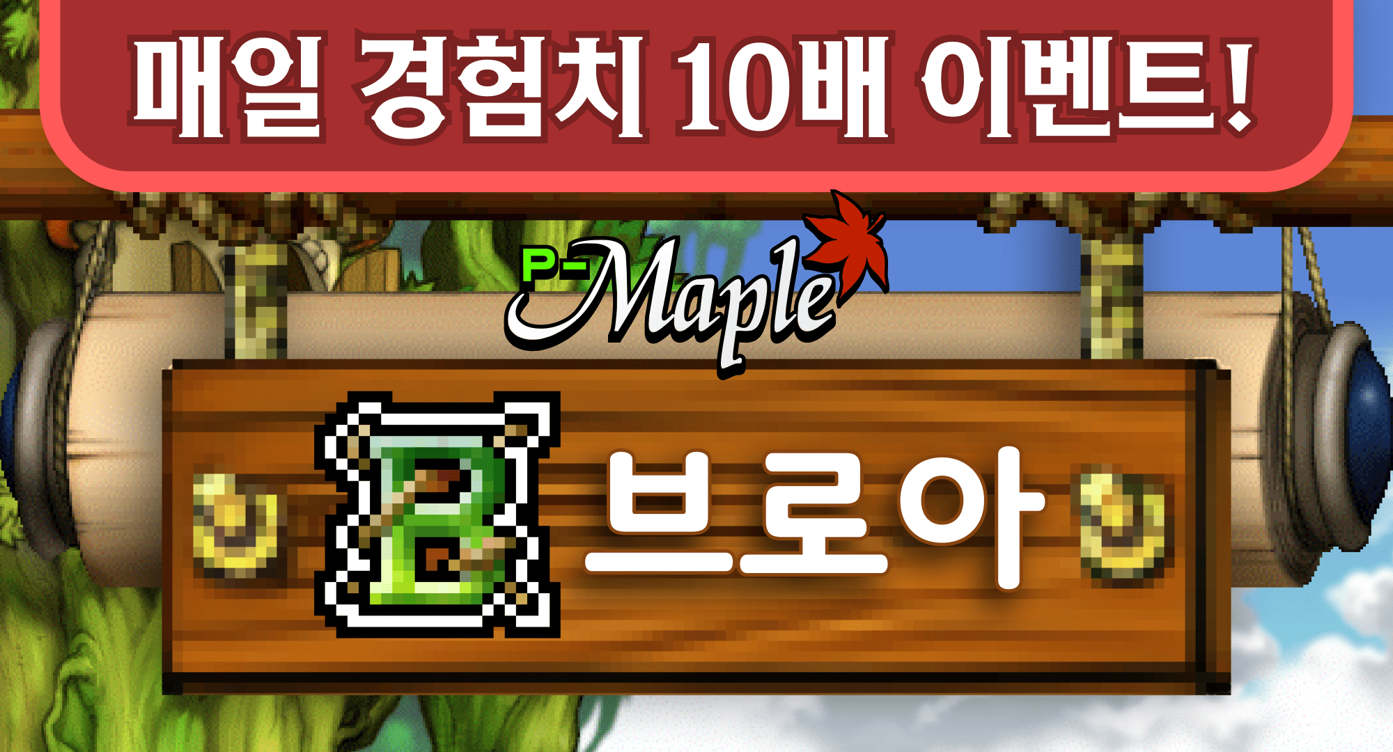 P-메이플 브로아 서버
