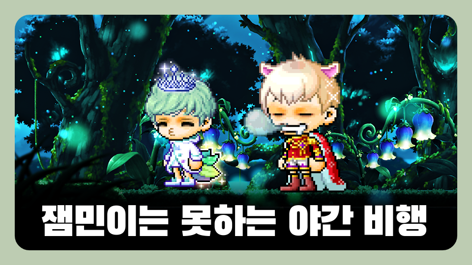 잼민이는 못하는 야간 비행