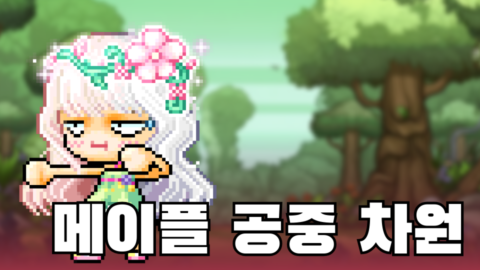 메이플 공중 차원