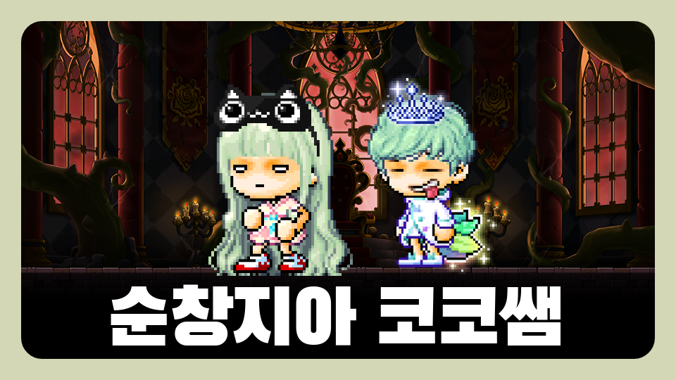 순창지아 코코쌤