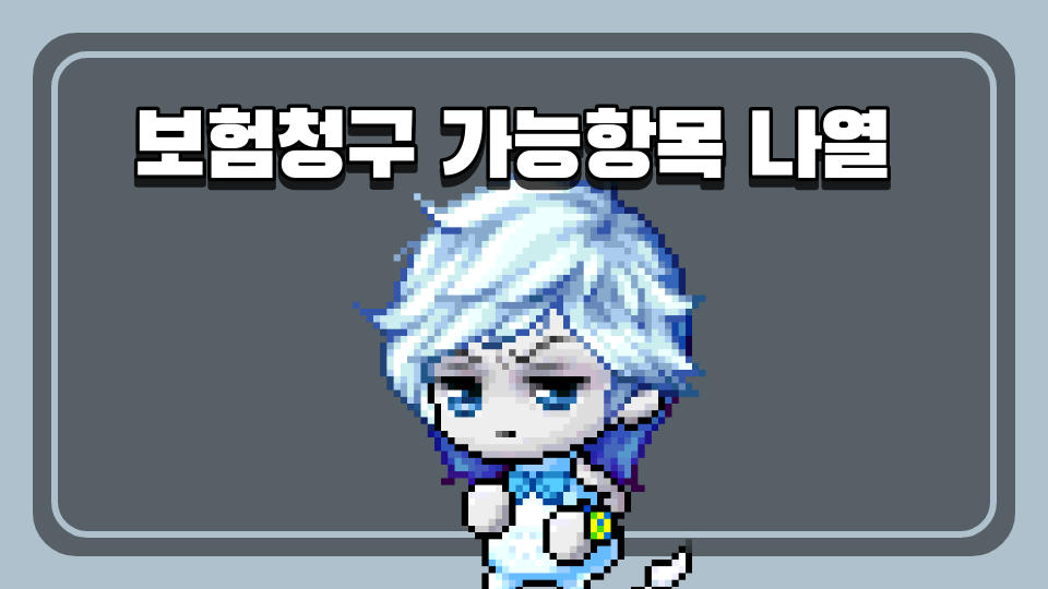 보험청구 가능항목 나열 