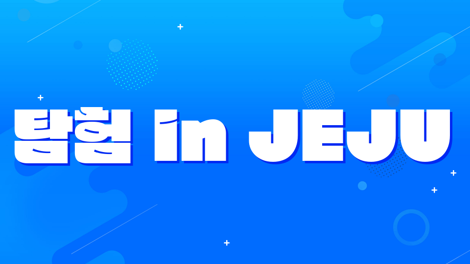 [제주체크인 오호2406] 제주로 가!