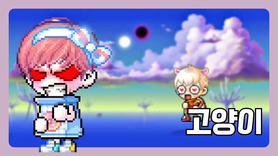 아라초 5-5고양이 2