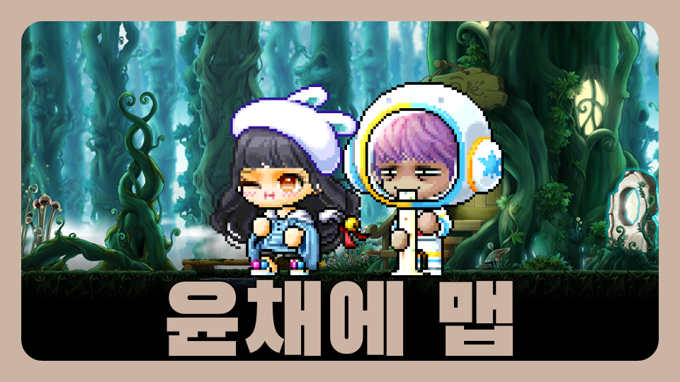 윤채의 매이플 맵