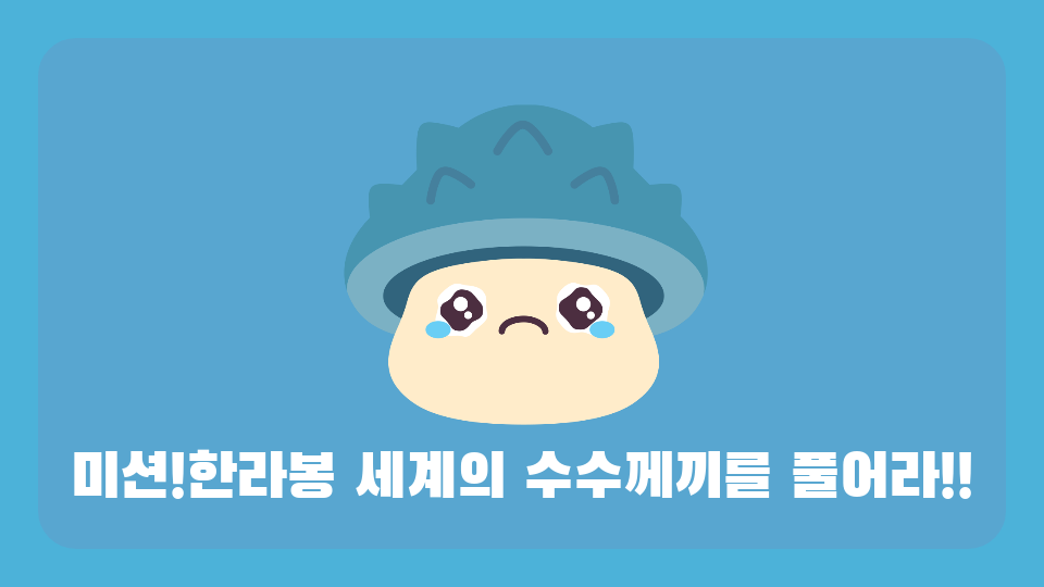 아라초5724미션!한라봉 세계의 수수께끼를 풀어라!!!