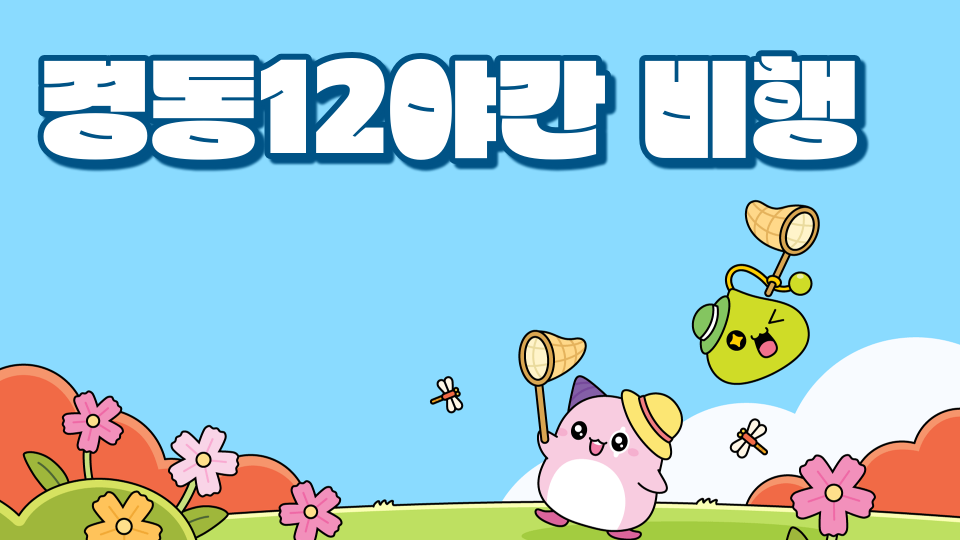 경동12야간 비행