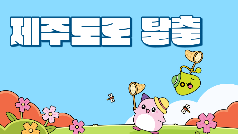 삼성초54 제주도로 탈출