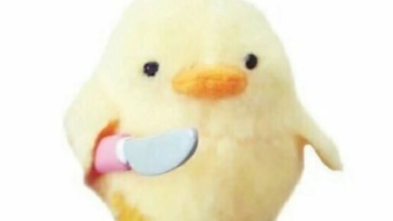 코딩 뉴비 연습맵