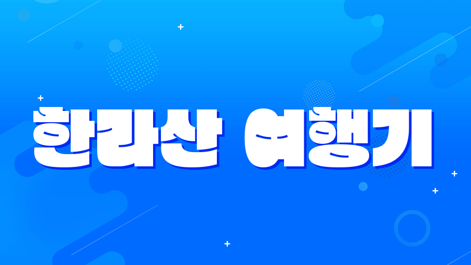 토평6114.제주체크인