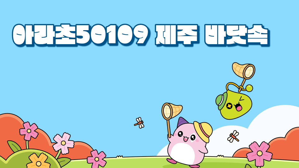 아라초50109 제주 바닷속