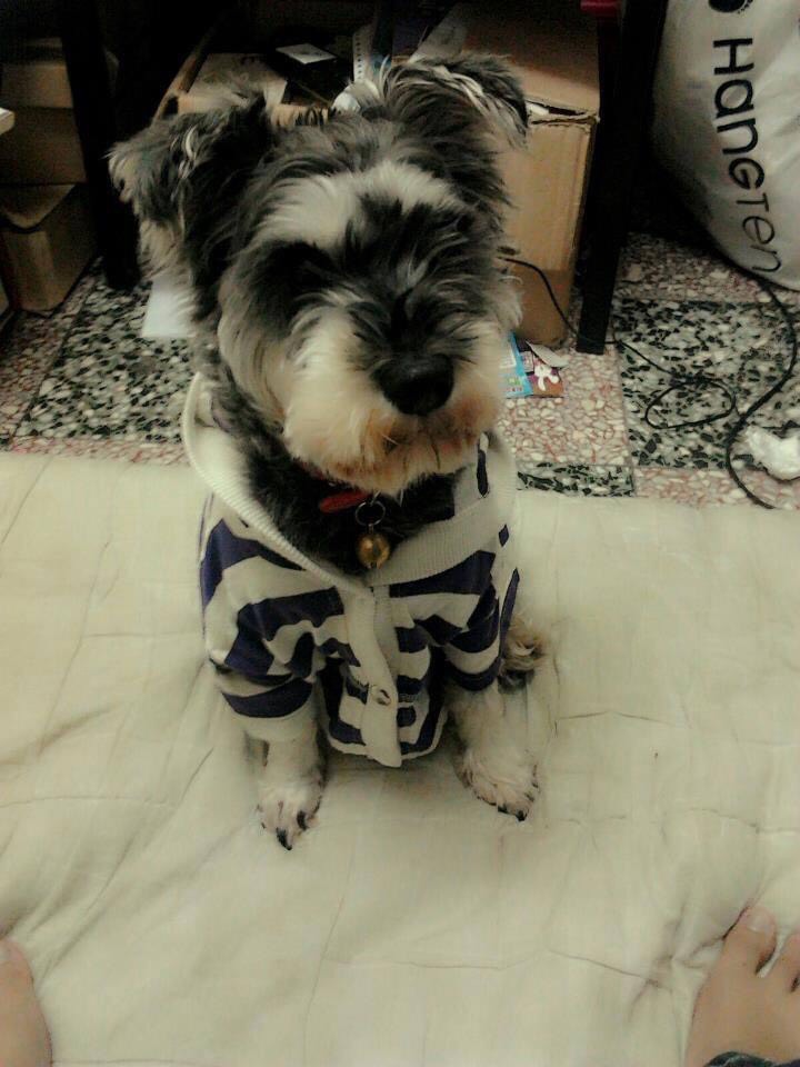 玩家個人簡介圖片