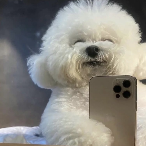 유저 프로필 이미지