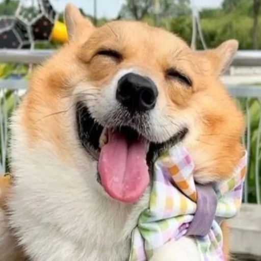 유저 프로필 이미지