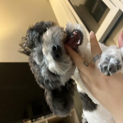 유저 프로필 이미지