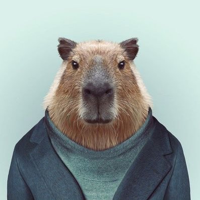 Imagen de perfil