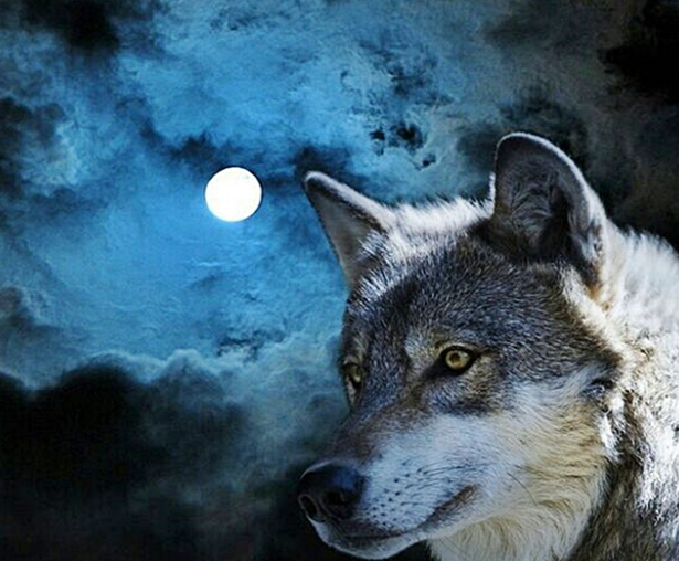 玩家個人簡介圖片