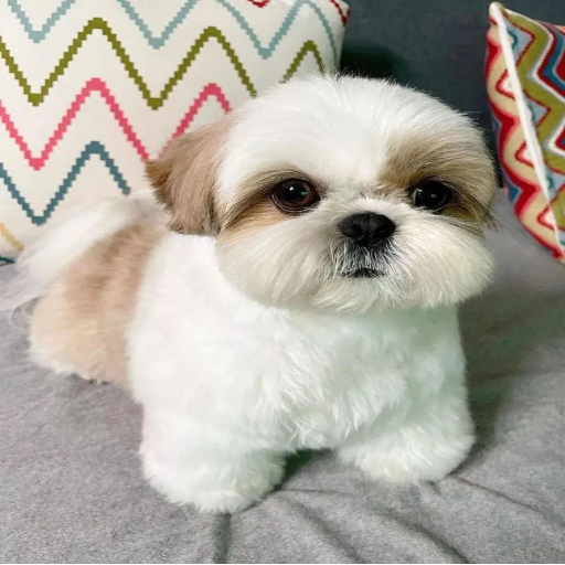 유저 프로필 이미지