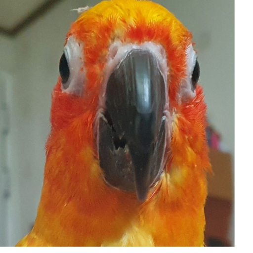 유저 프로필 이미지