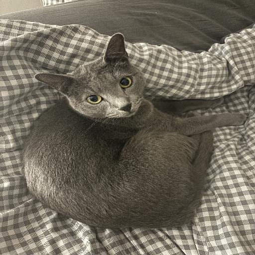 유저 프로필 이미지