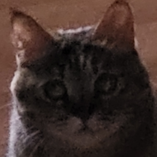 유저 프로필 이미지