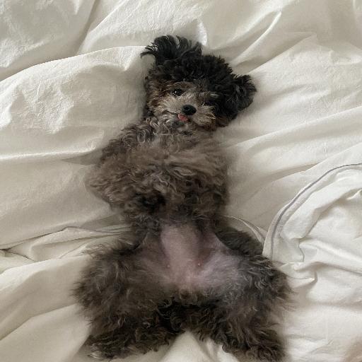 유저 프로필 이미지