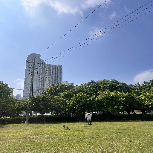 유저 프로필 이미지