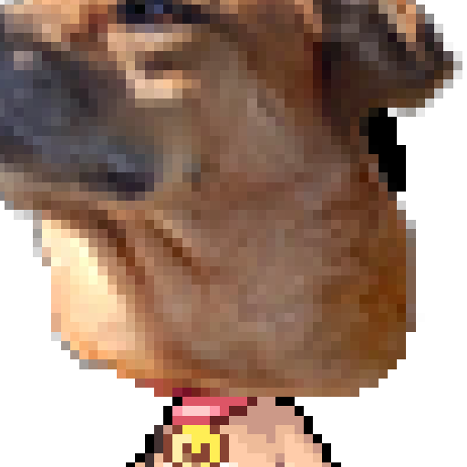 유저 프로필 이미지