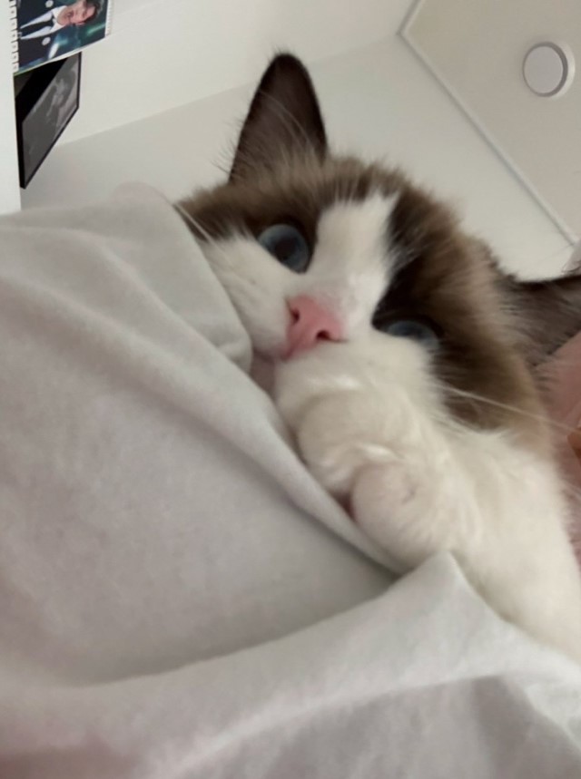 유저 프로필 이미지