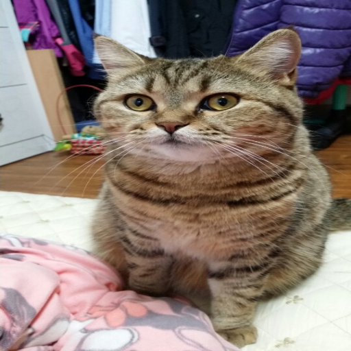 유저 프로필 이미지