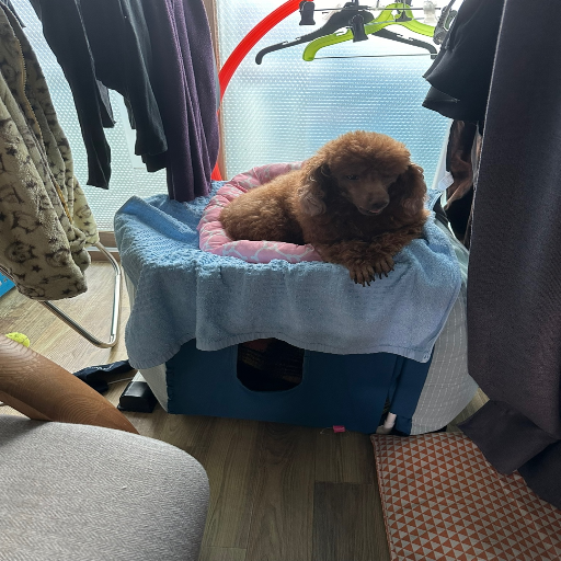 유저 프로필 이미지