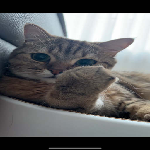 유저 프로필 이미지