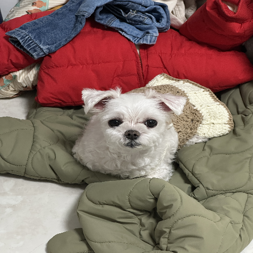 유저 프로필 이미지