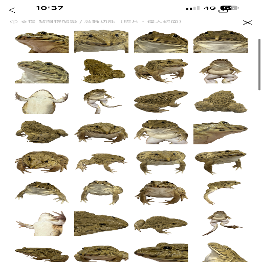 유저 프로필 이미지