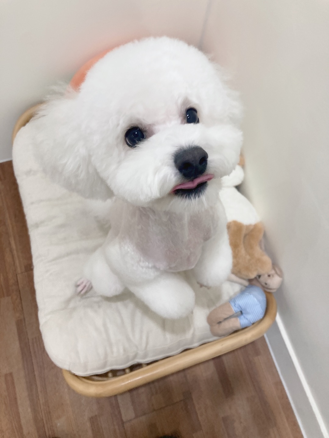 玩家個人簡介圖片