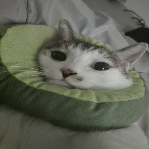 유저 프로필 이미지